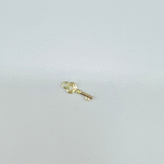 The Crowns Charms for Locket