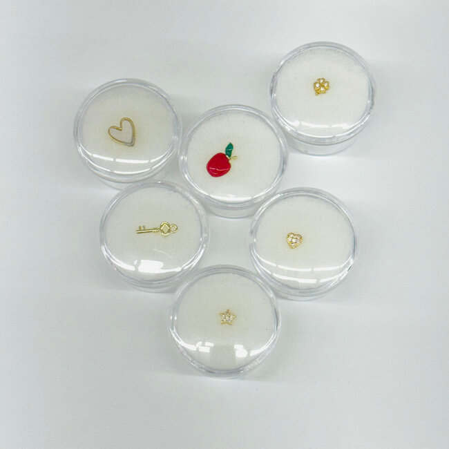 The Crowns Charms for Locket