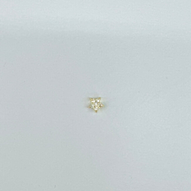 The Crowns Charms for Locket