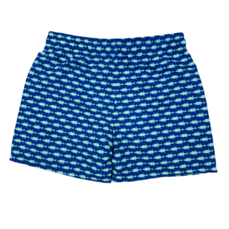 Saltwater Boys Saint Simons Swim Trunk Bait Fish Blue