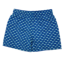 Saltwater Boys Saint Simons Swim Trunk Bait Fish Blue
