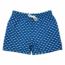 Saltwater Boys Saint Simons Swim Trunk Bait Fish Blue