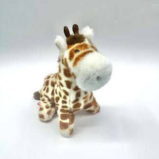 Douglas George Giraffe Muzzle Douglas George Giraffe Muzzle