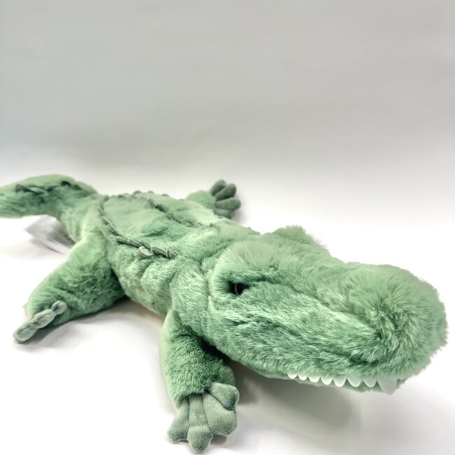 Douglas Snappy Alligator