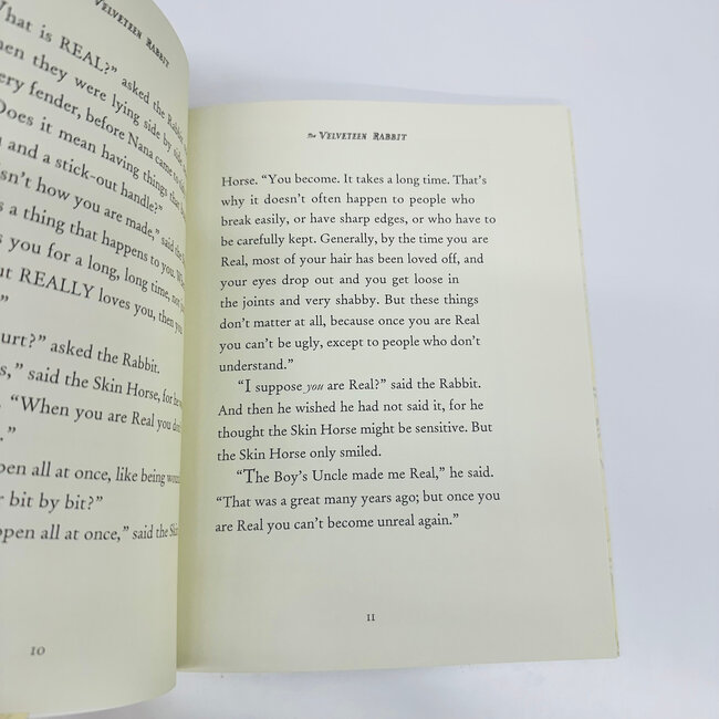 The Velveteen Rabbit Book