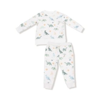 Angel Dear Soft Dinos Green Sweatshirt + Jogger Set