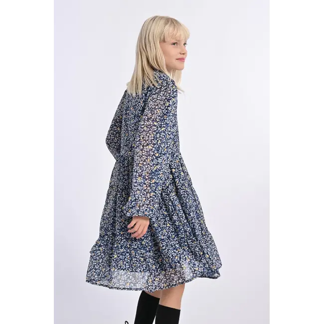Molly Bracken Nora Dress in Blue