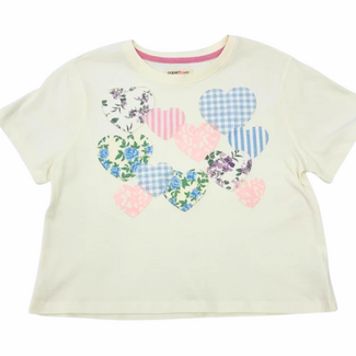 Paper Flower Hearts Appliques Top