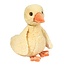 Douglas Dennie Duck Soft