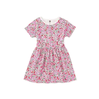 Tea Collection Somerset Meadow Short Sleeve Twirl Dress