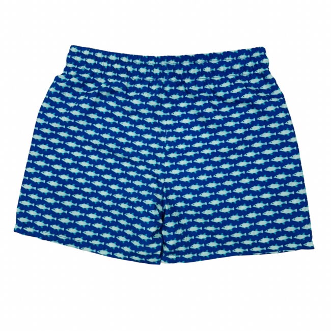 Saltwater Boys Saint Simons Swim Trunk Bait Fish Blue