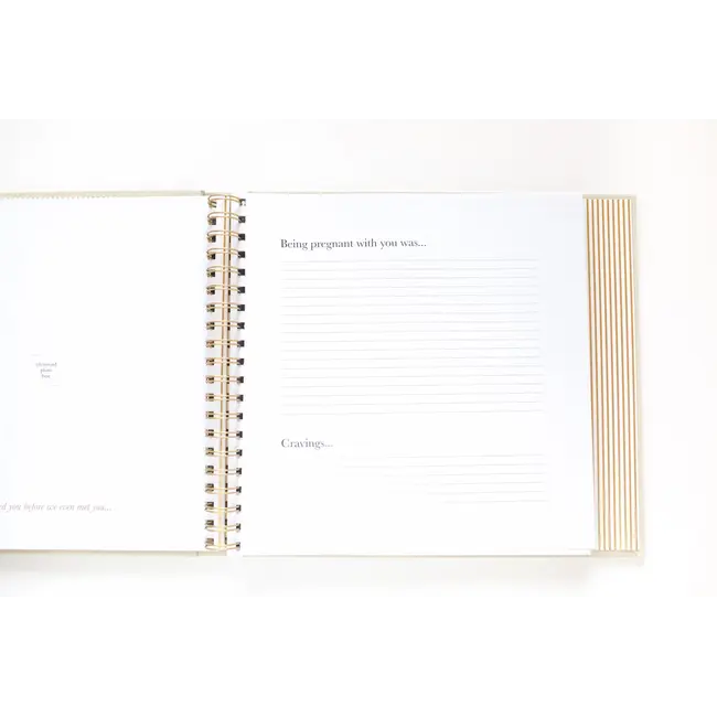 Paper Peony Press The Baby Memory Book