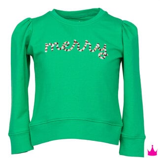 Azarhia Sequin Merry Green Holly Top