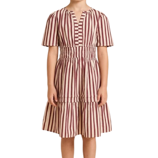 Hayden Girls Pleated Skirt Detail Striped Burgundy Dress