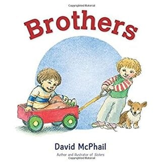 HarperCollins Brothers by David McPhail