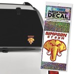 Color Shock Thunder Holographic Decal