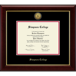 Church Hill Classics Medallion Diploma Frame (Undergraduate)