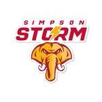 Spirit Products, Ltd SC Magnet Decor