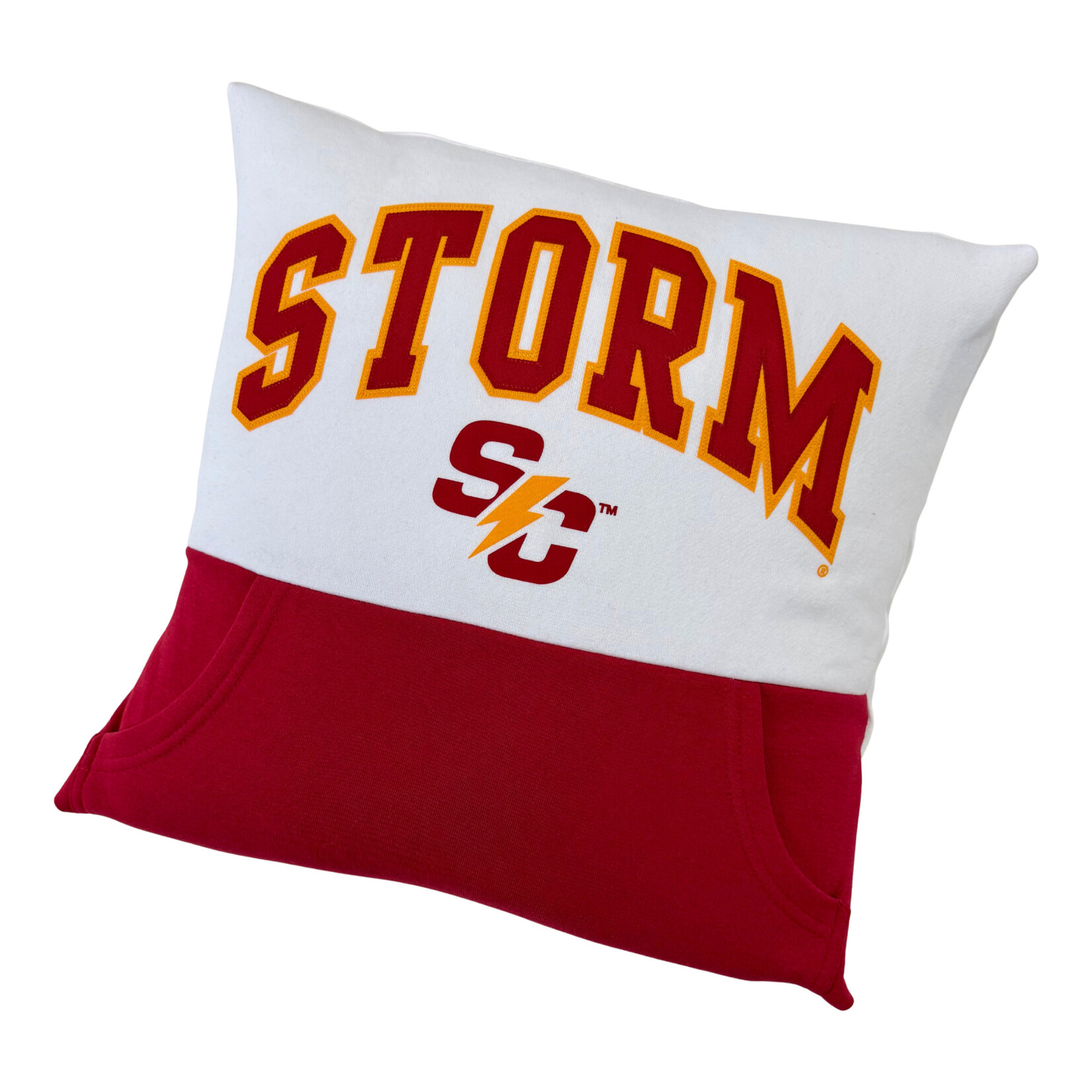 Upcycled Pillow w/ Insert