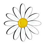 Sticker Cabana White Daisy w/Yellow Center Sticker