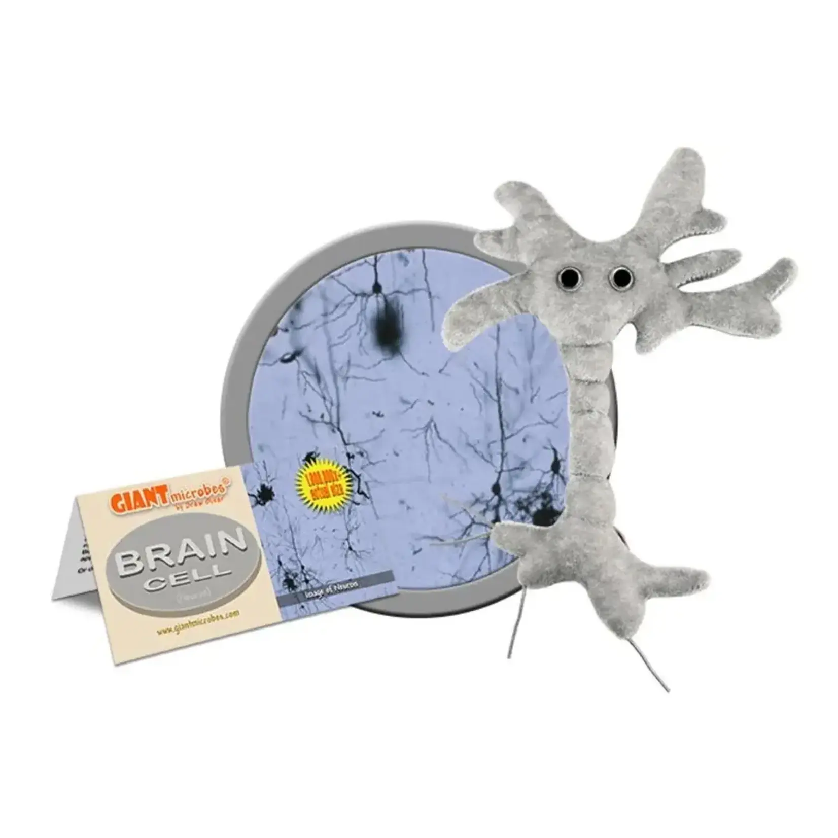 Giant Microbes Brain Cell