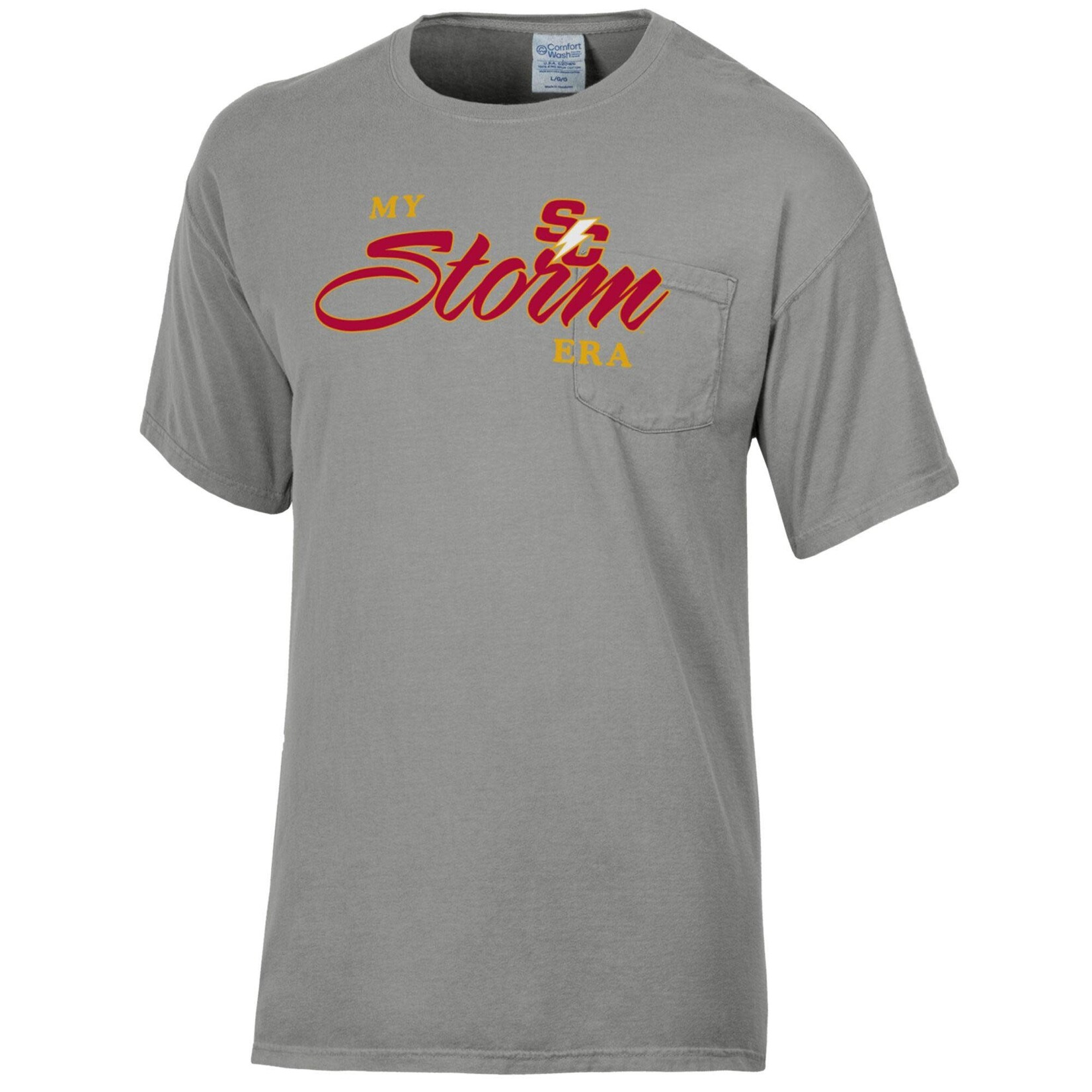 Comfort Wash My Storm Era Tee Concrete