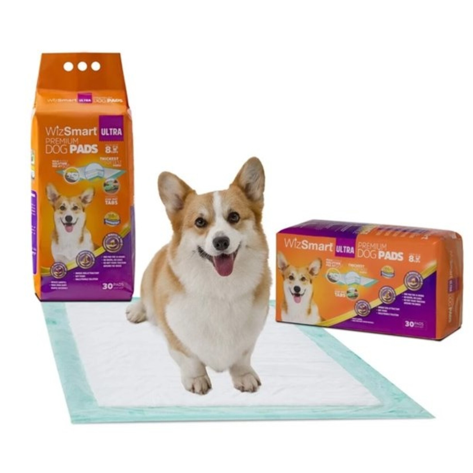 WIZSMART DOG PADS EARTH FRIENDLY 30CT 23.5" X 22"