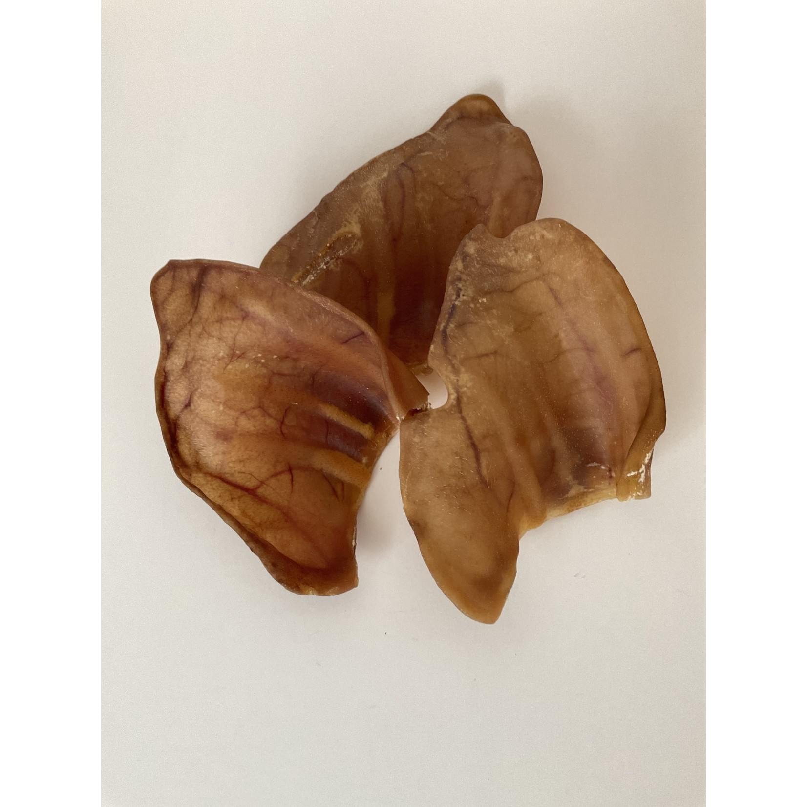 MIKA & SAMMY'S PIGS EAR