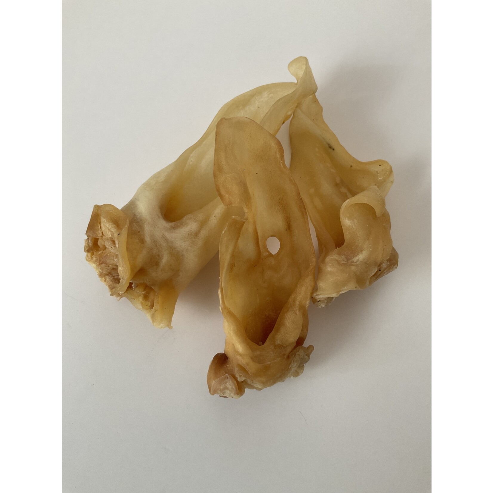 MIKA & SAMMY'S LAMBS EAR