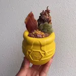 SODAPUP YELLOW HONEYPOT TREAT DISPENSER