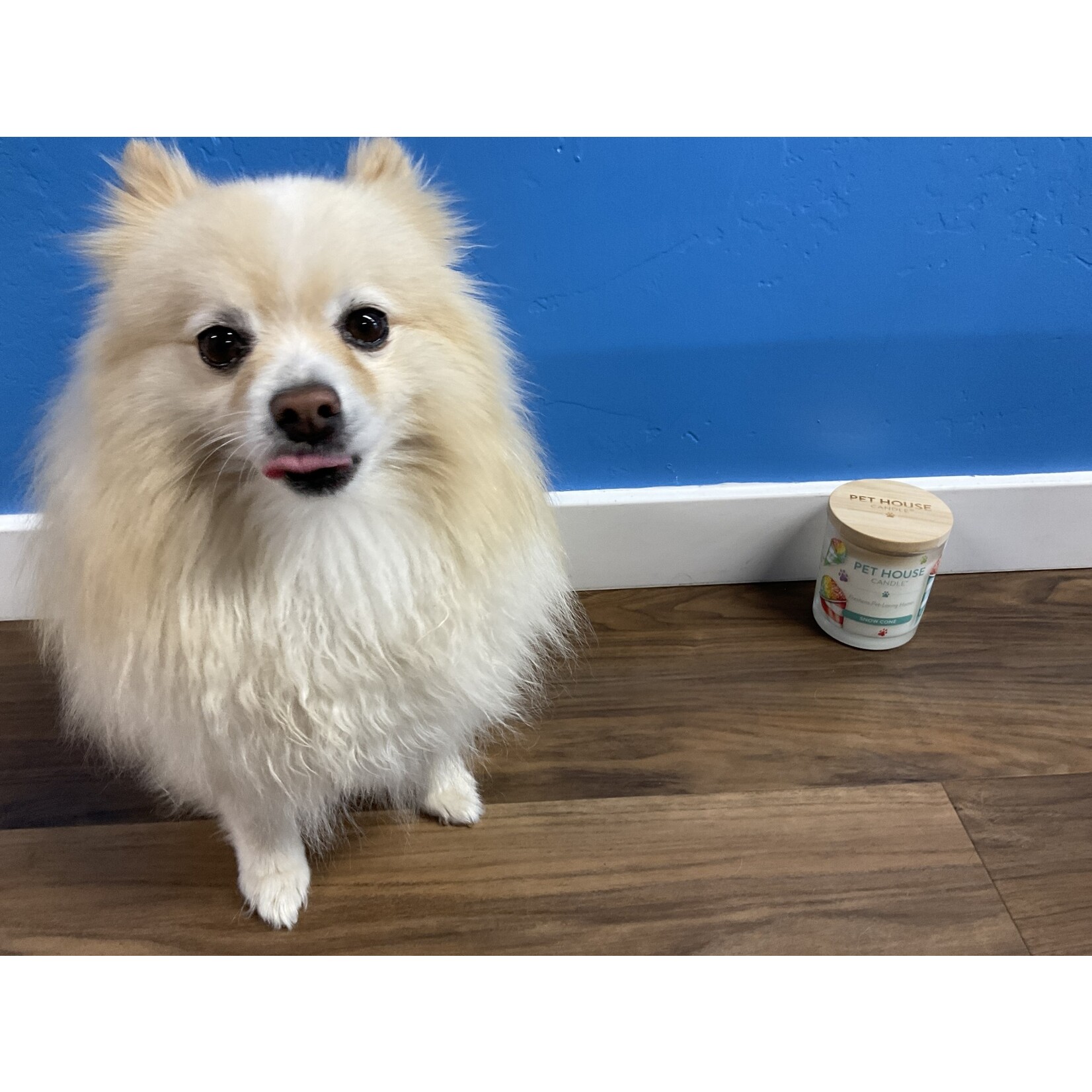 PET HOUSE SNOW CONE CANDLE 9OZ