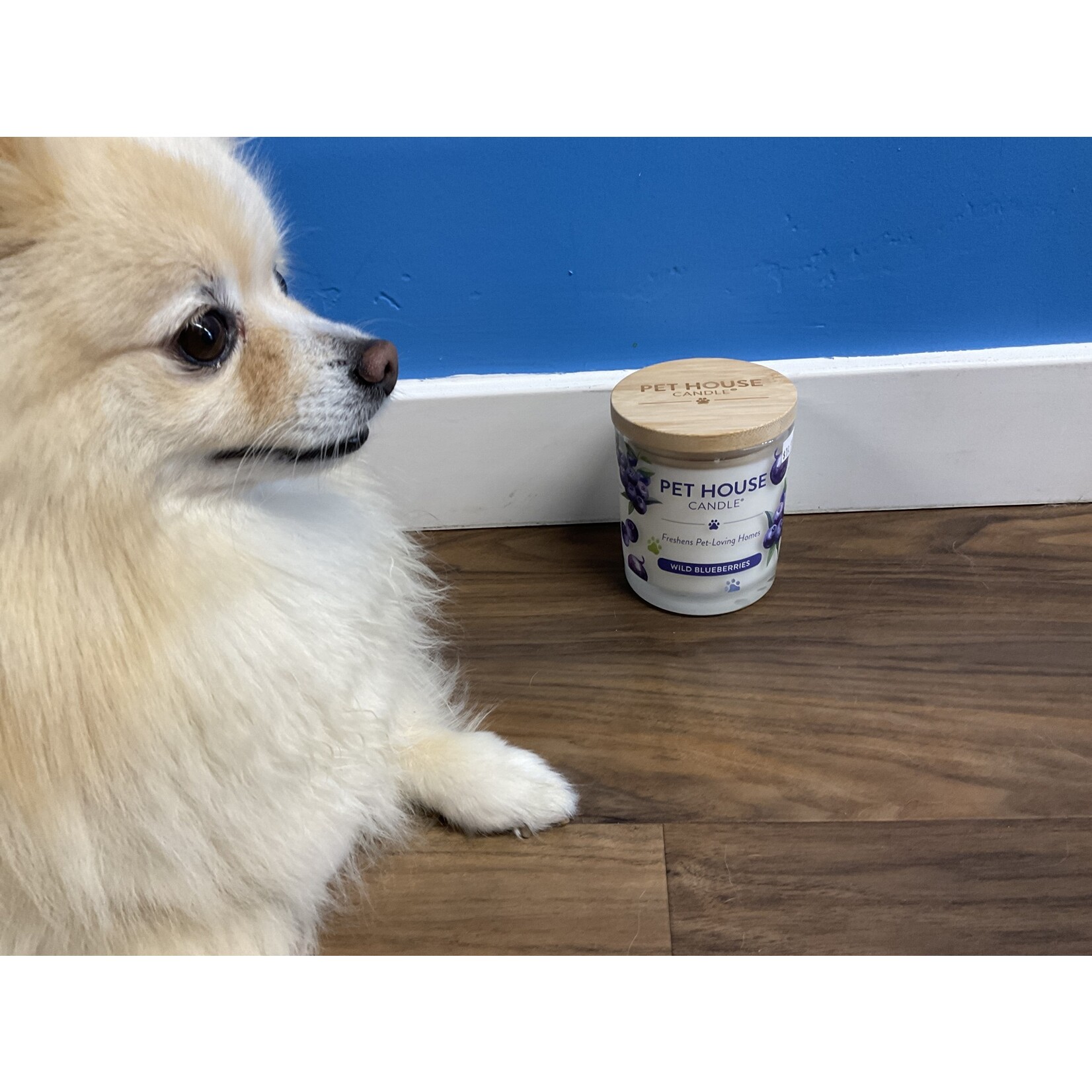 PET HOUSE WILD BLUEBERRIES CANDLE 9OZ
