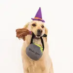 ZIPPY PAWS WITCH COSTUME KIT