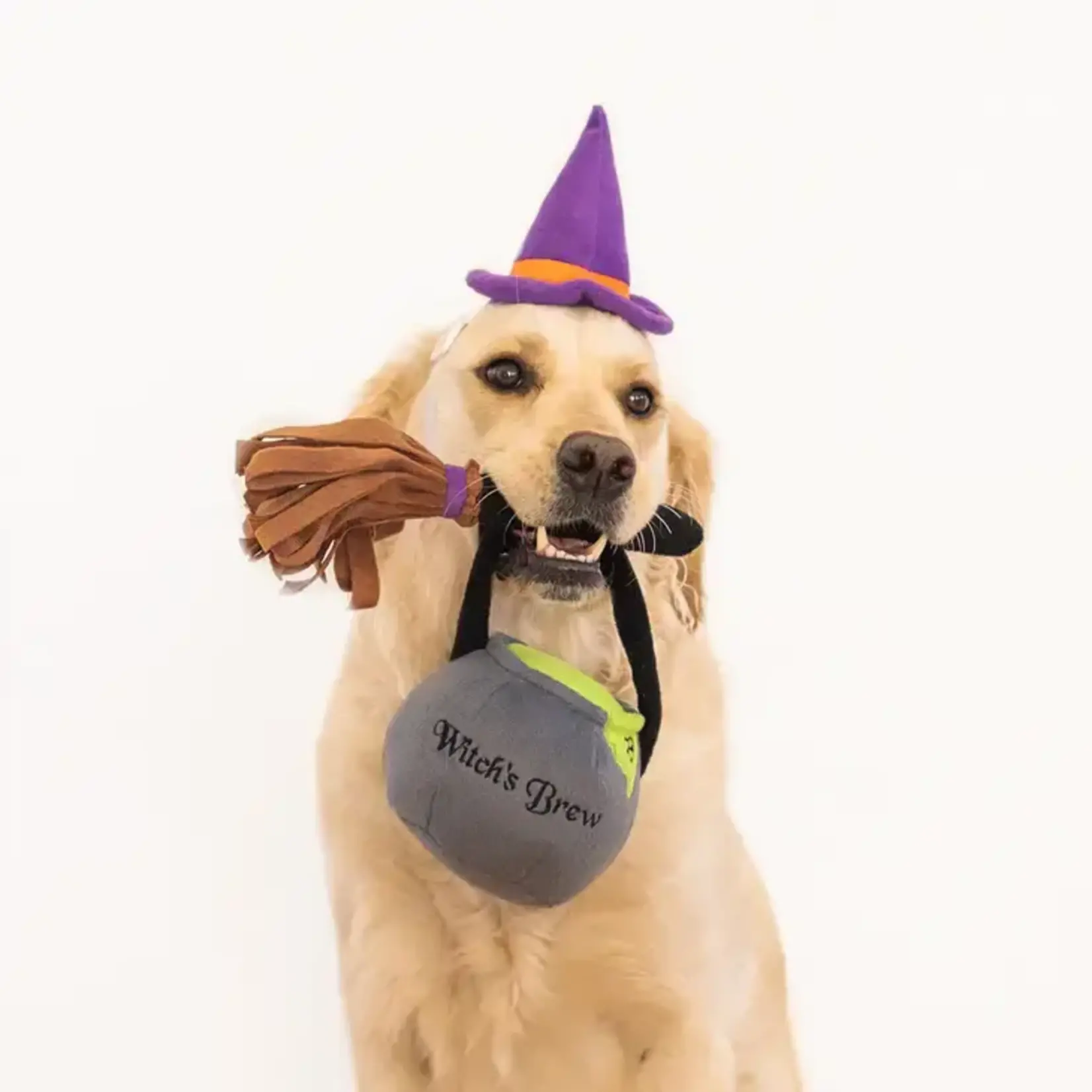 ZIPPY PAWS WITCH COSTUME KIT