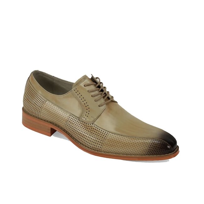 Oxford Leather Shoe