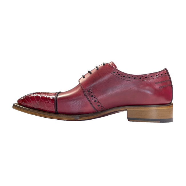 Fennix Fennix Calf and Alligator Lace-up Shoes (FX2070)
