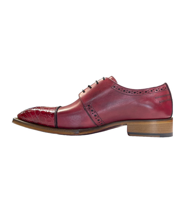 Fennix Fennix Calf and Alligator Lace-up Shoes (FX2070)