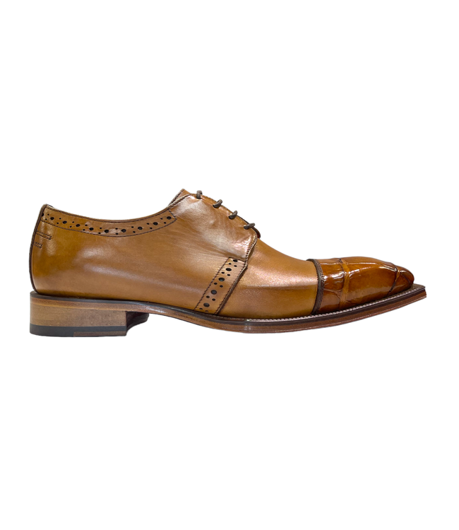 Fennix Fennix Calf and Alligator Lace-up Shoes (FX2070)