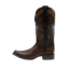 Los Altos European Square Toe Caiman Tail Los Altos (760116) Brown
