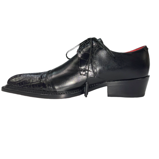 Fennix Max Hornback & Calfskin Shoes Black