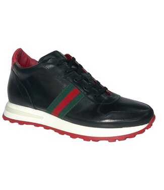 Emilio Franco Web Sneaker (Sam)