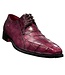 Fennix Fennix Logan Men's Shoes, Genuine Alligator Exotic Oxfords (FX1035)