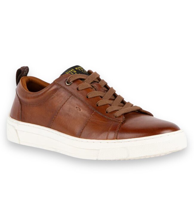 Steve Madden Steve Maden Men's Sneaker "Nickai"