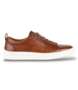 Steve Madden Steve Maden Men's Sneaker "Nickai"
