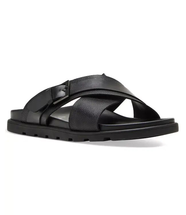 Steve Madden Journ Sreve Maden