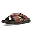 Steve Madden Journ Sreve Maden