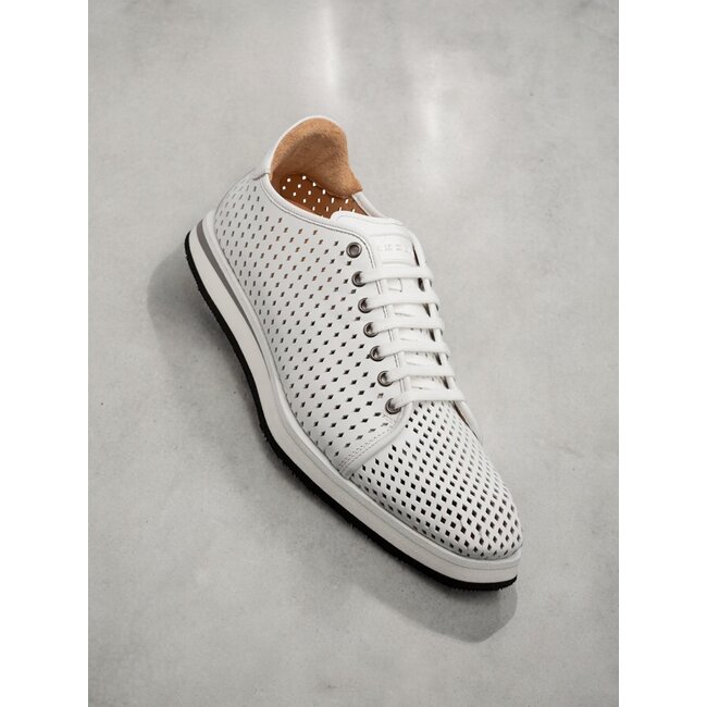 Mezlan Mezlan "Luce" Men's Sneaker