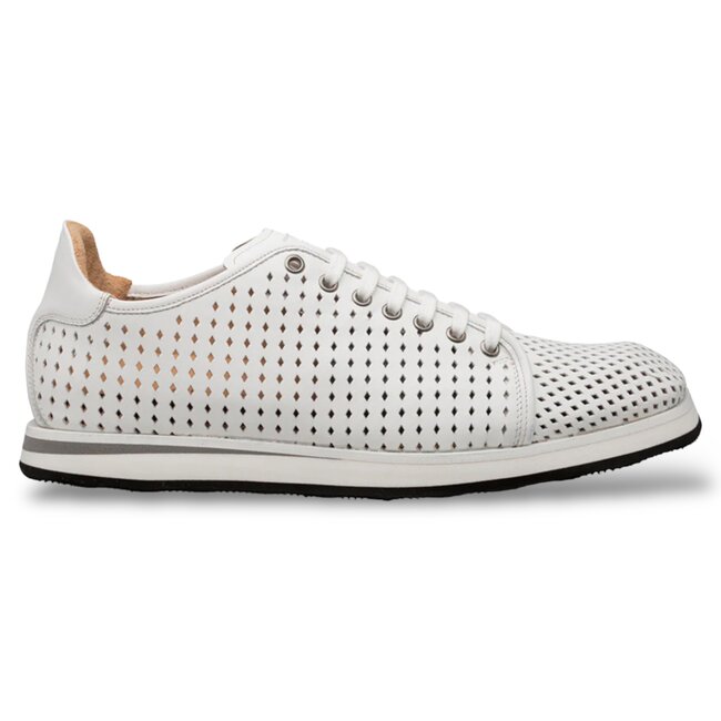 Mezlan Mezlan "Luce" Men's Sneaker