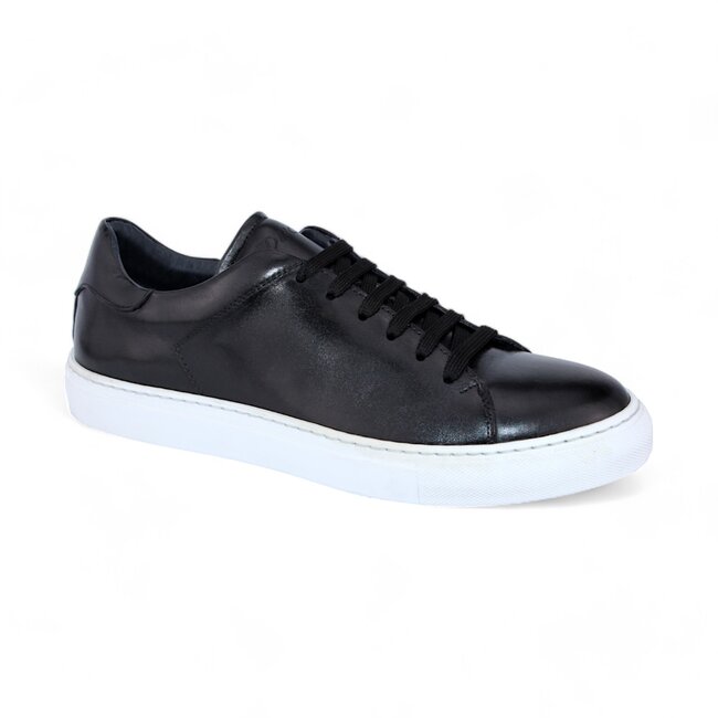 Duca Duca by Matiste Monza Sneakers