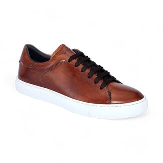 Duca Duca by Matiste Monza Sneakers